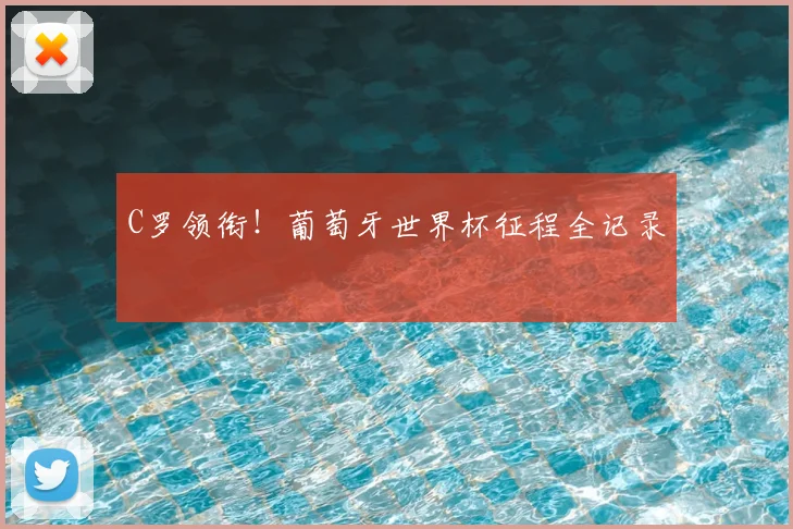 C罗领衔!葡萄牙世界杯征程全记录