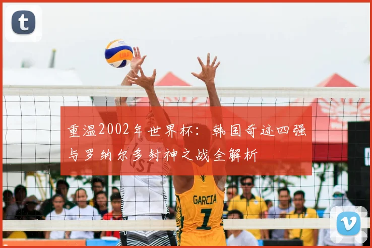 重温2002年世界杯:韩国奇迹四强与罗纳尔多封神之战全解析