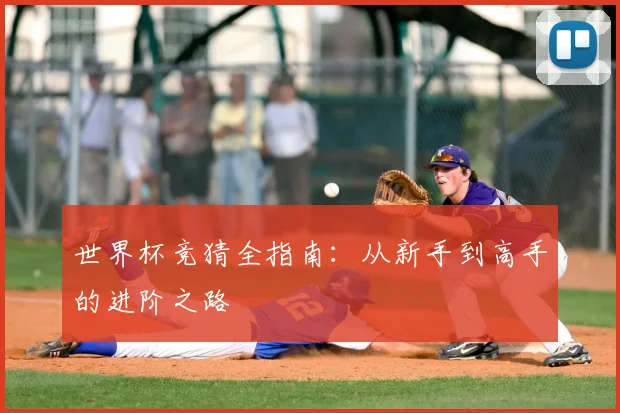 世界杯竞猜全指南:从新手到高手的进阶之路