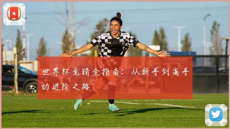 世界杯竞猜全指南:从新手到高手的进阶之路